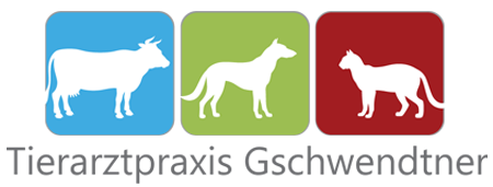 Tierarztpraxis Gschwendtner